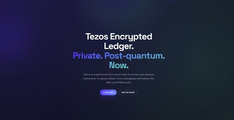 TzEL and the Future of Blockchain Privacy